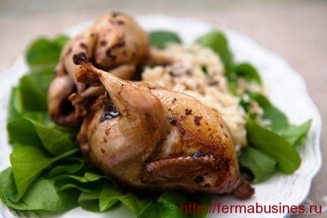 Cara memasak burung puyuh di rumah: resep dan tips kuliner