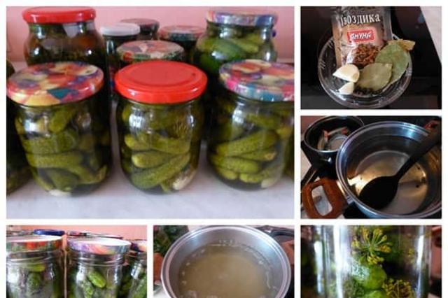 Pickled gherkins: a recipe for the winter crisp, like in a gherkin store How to pickle gherkins at home