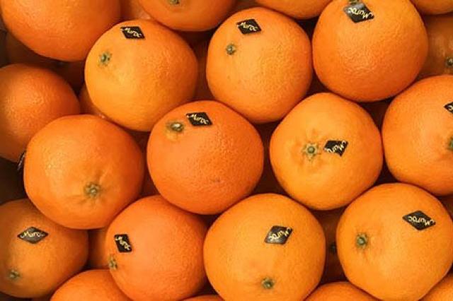 ส้มเขียวหวาน Abkhaz วิธีแยกแยะความหลากหลายและพันธุ์ของส้ม