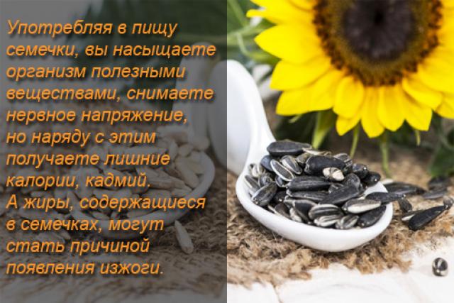 Biji bunga matahari - komposisi dan khasiat yang bermanfaat;  manfaat dan bahaya;  pengobatan dengan biji;  resep kuliner